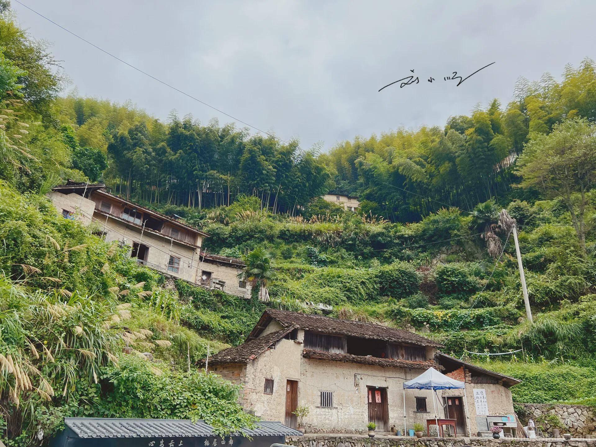 浙江松阳网红打卡地，以前只是普通小山村，如今文艺青年趋之若鹜