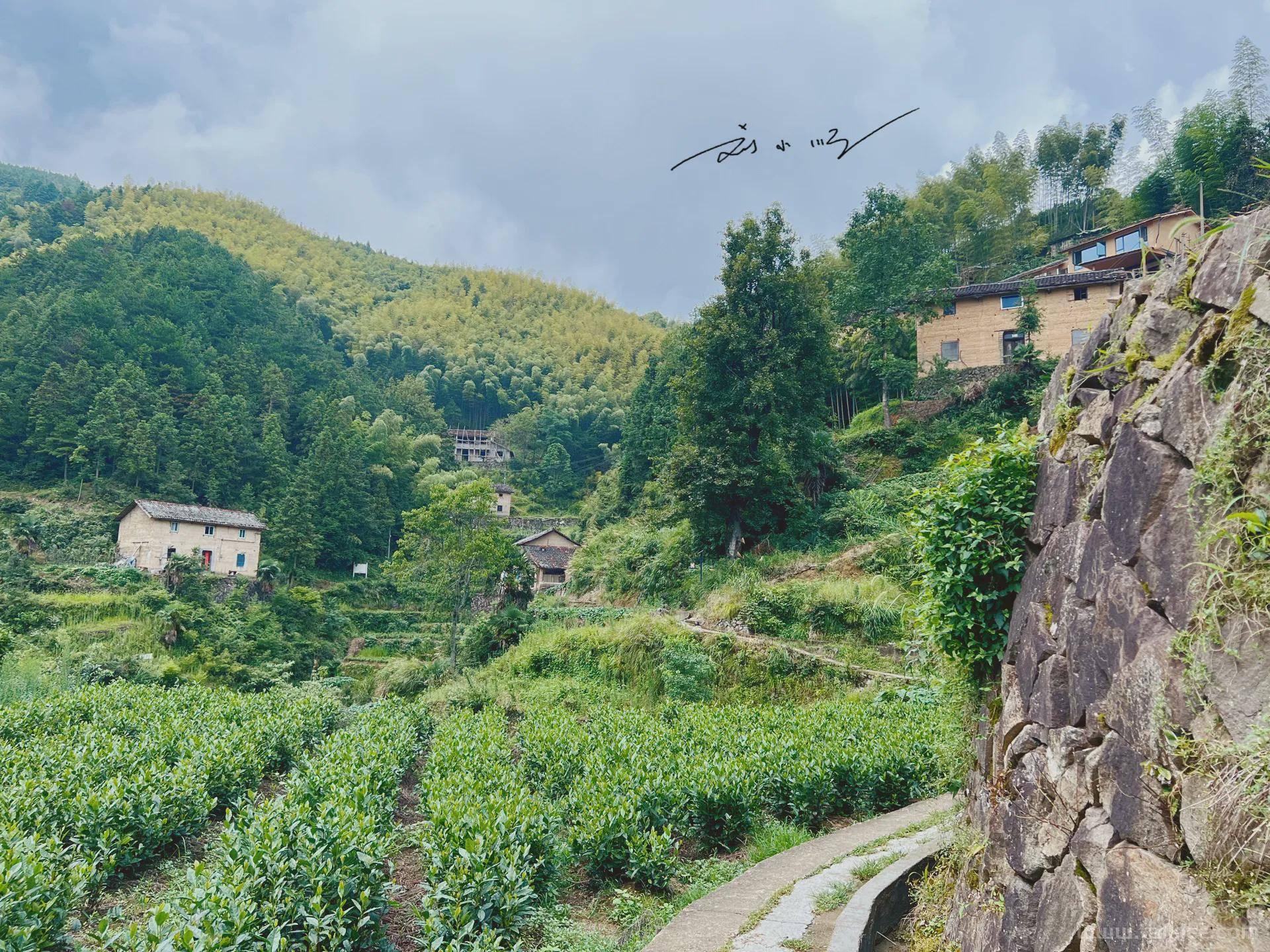 浙江松阳网红打卡地，以前只是普通小山村，如今文艺青年趋之若鹜-第13张图片-国内旅游_国外旅游_门票预订_露营骑行_酒店民宿_旅游攻略_美食资讯,_车票机票购买_众乐乐旅游网