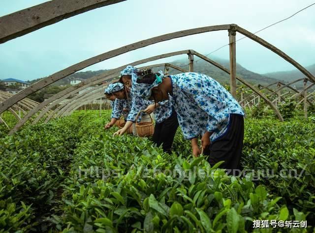 山水长清.齐鲁仙境不一样的山，不一样 的水-第21张图片-国内旅游_国外旅游_门票预订_露营骑行_酒店民宿_旅游攻略_美食资讯,_车票机票购买_众乐乐旅游网