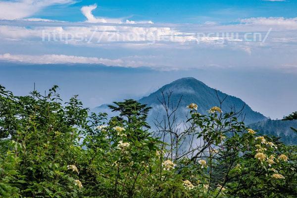 峨眉山旅游徒步攻略 徒步爬山全攻略-第2张图片-国内旅游_国外旅游_门票预订_露营骑行_酒店民宿_旅游攻略_美食资讯,_车票机票购买_众乐乐旅游网