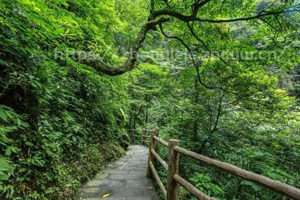 峨眉山有哪些景点 必去的几个景点-第3张图片-国内旅游_国外旅游_门票预订_露营骑行_酒店民宿_旅游攻略_美食资讯,_车票机票购买_众乐乐旅游网