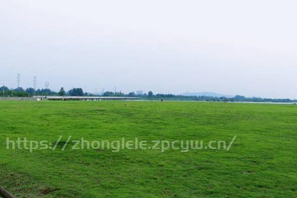 蚌埠有哪些露营地方-第3张图片-国内旅游_国外旅游_门票预订_露营骑行_酒店民宿_旅游攻略_美食资讯,_车票机票购买_众乐乐旅游网