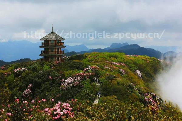 金佛山北坡和西坡有什么区别-第3张图片-国内旅游_国外旅游_门票预订_露营骑行_酒店民宿_旅游攻略_美食资讯,_车票机票购买_众乐乐旅游网