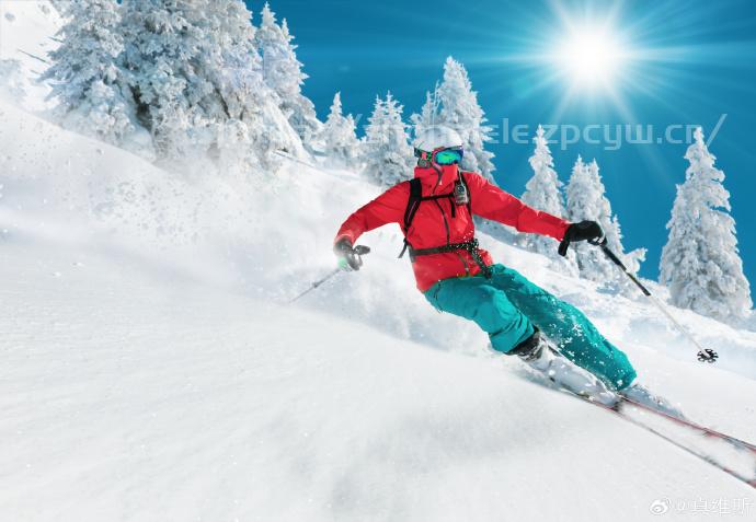 冬季滑雪？是时候来一场刺激又充满乐趣的雪上冒险了！