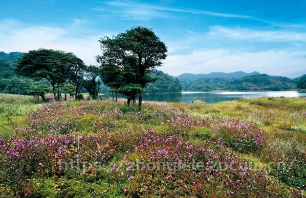 双柏九天湿地，宝藏徒步露营旅行地！-第8张图片-国内旅游_国外旅游_门票预订_露营骑行_酒店民宿_旅游攻略_美食资讯,_车票机票购买_众乐乐旅游网