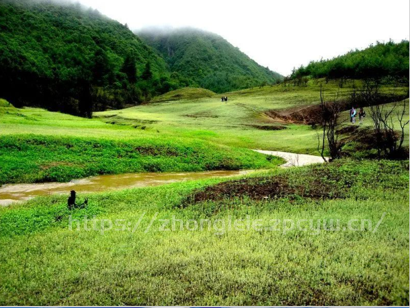 双柏九天湿地，宝藏徒步露营旅行地！-第13张图片-国内旅游_国外旅游_门票预订_露营骑行_酒店民宿_旅游攻略_美食资讯,_车票机票购买_众乐乐旅游网