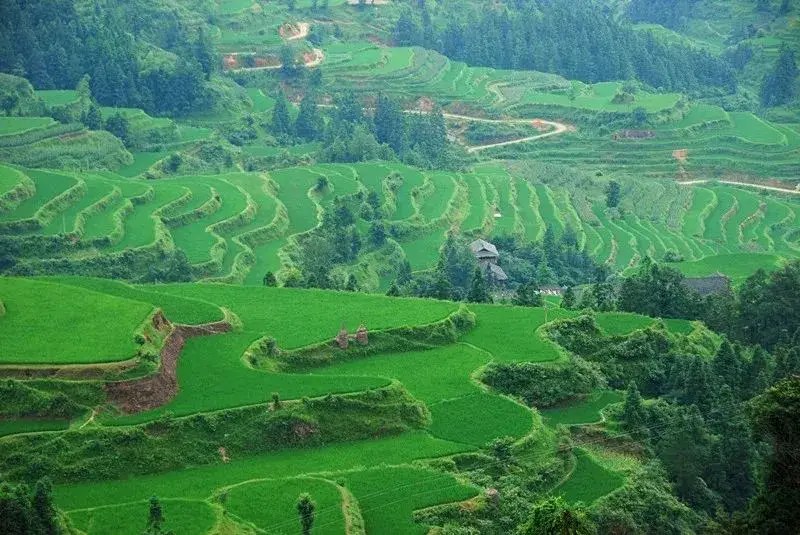 乡村振兴背景下旅居模式开启乡村文旅新趋势-第8张图片-国内旅游_国外旅游_门票预订_露营骑行_酒店民宿_旅游攻略_美食资讯,_车票机票购买_众乐乐旅游网